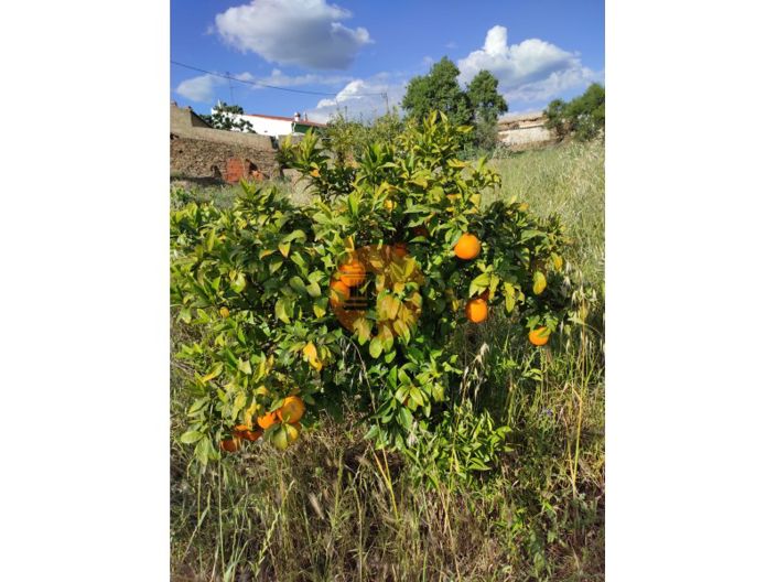 Image No.4-Maison de 2 chambres à vendre à Castro Marim