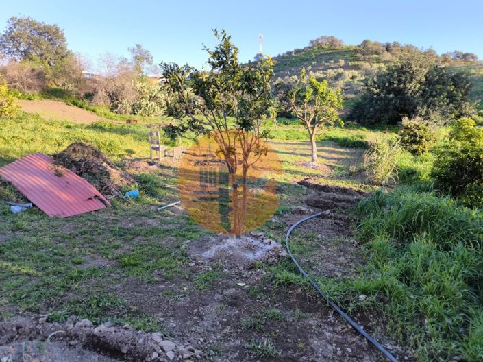 Image No.46-Maison de 2 chambres à vendre à Castro Marim