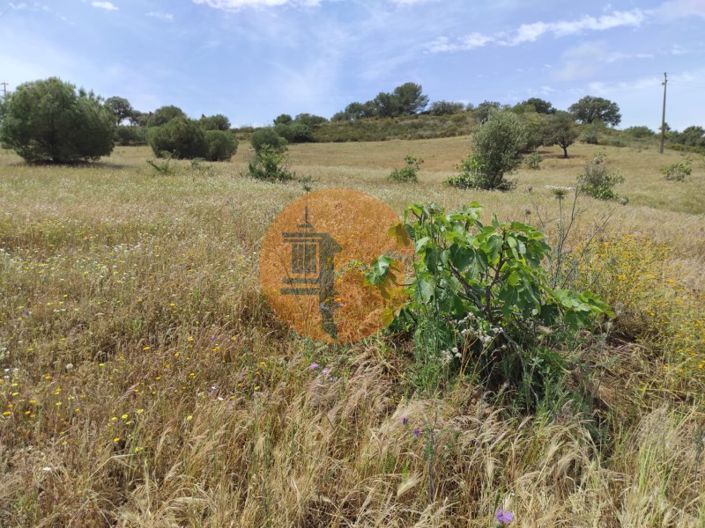 Image No.16-Plot for sale