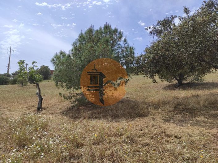 Image No.23-Plot for sale