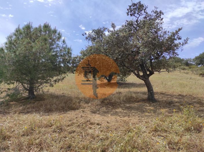 Image No.3-Plot for sale