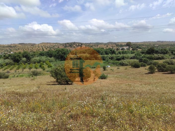 Image No.4-Plot for sale
