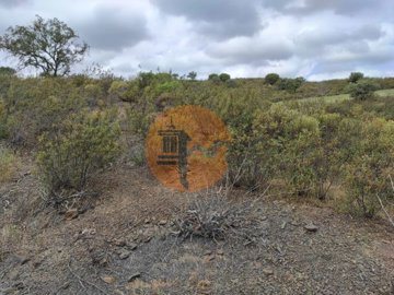 idc0eb5d00-0000-0500-0000-000010ba5017