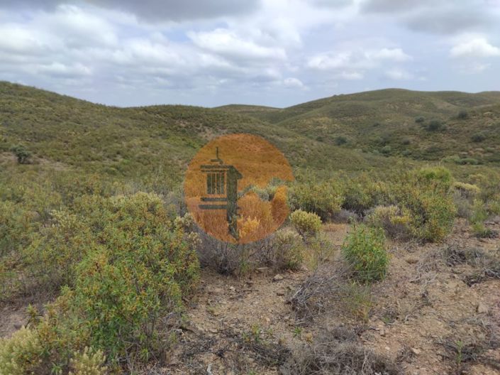 Image No.15-Plot for sale