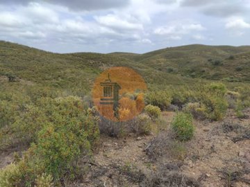 idc0eb5d00-0000-0500-0000-000010ba5019