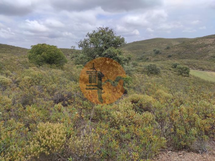 Image No.18-Plot for sale