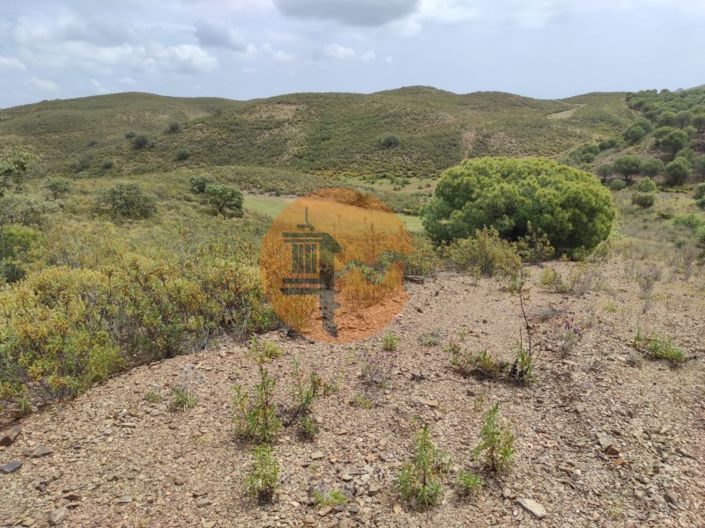 Image No.19-Plot for sale