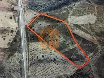 idc0eb5d00-0000-0500-0000-000010ba5013