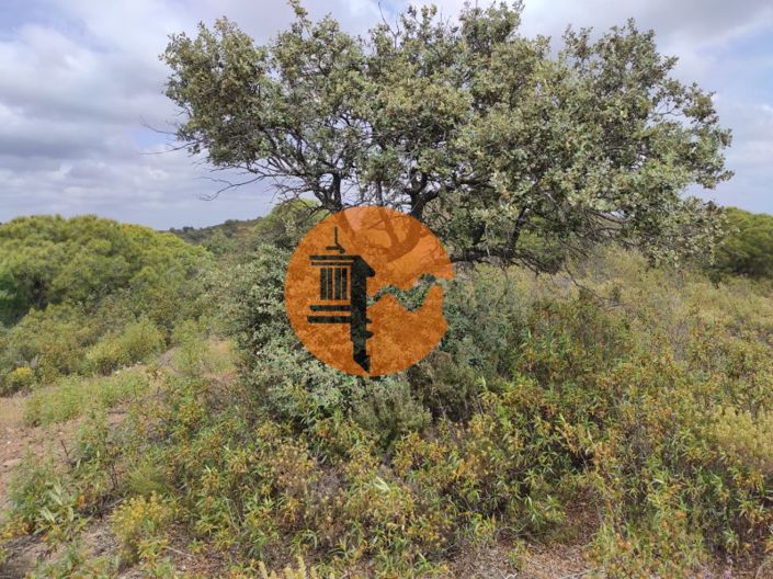 Image No.20-Plot for sale