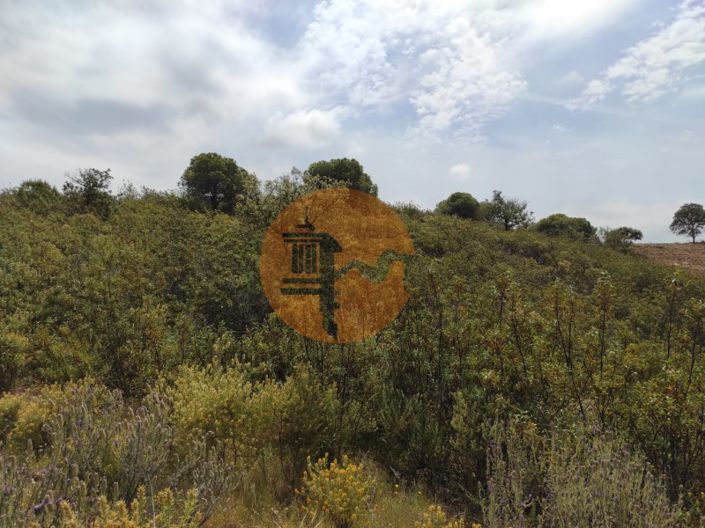 Image No.21-Plot for sale