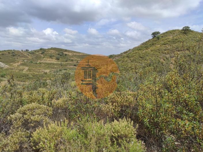 Image No.26-Plot for sale