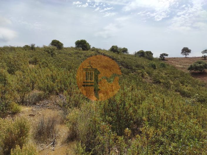 Image No.28-Plot for sale