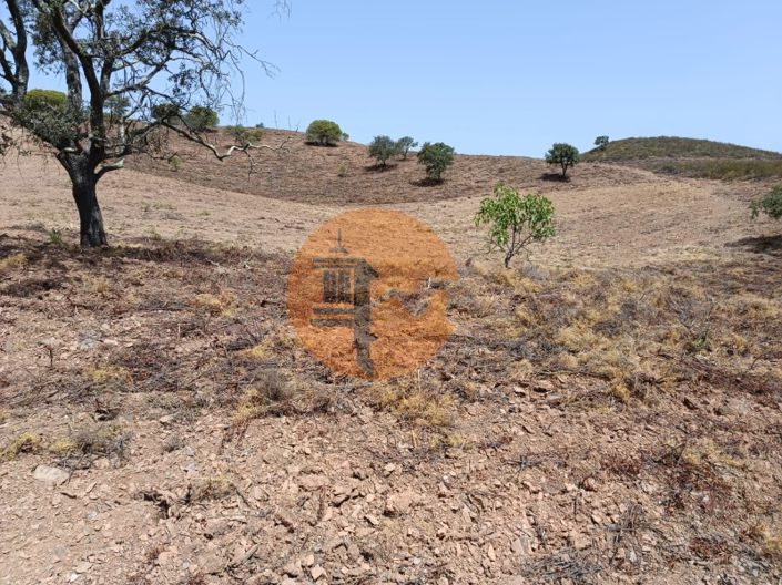 Image No.3-Plot for sale