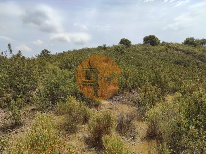 Image No.30-Plot for sale