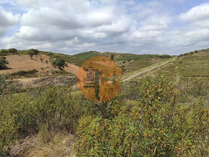 Image No.31-Plot for sale