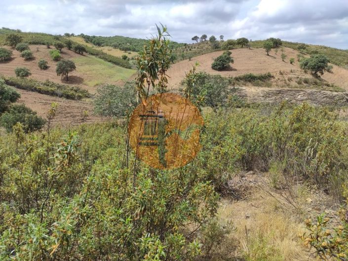 Image No.32-Plot for sale