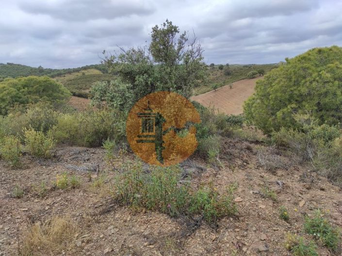 Image No.33-Plot for sale