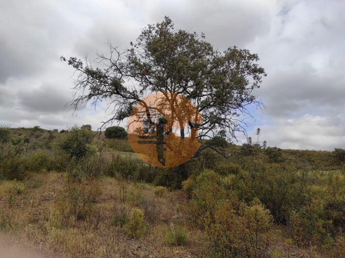 Image No.34-Plot for sale