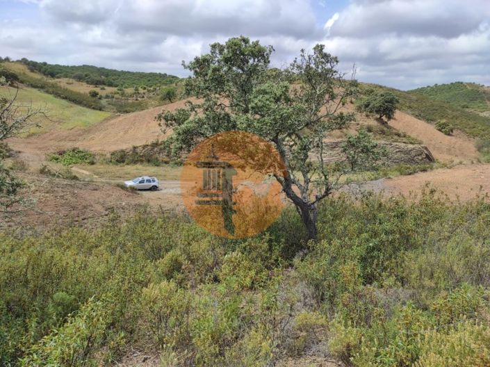 Image No.4-Plot for sale