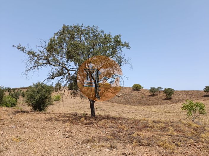 Image No.48-Plot for sale