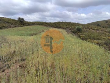 idc0eb5d00-0000-0500-0000-000010ba500e