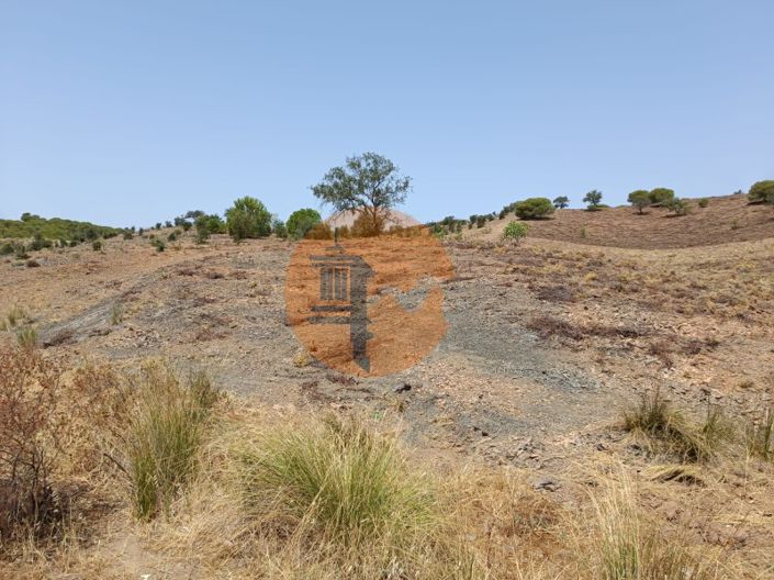 Image No.50-Plot for sale