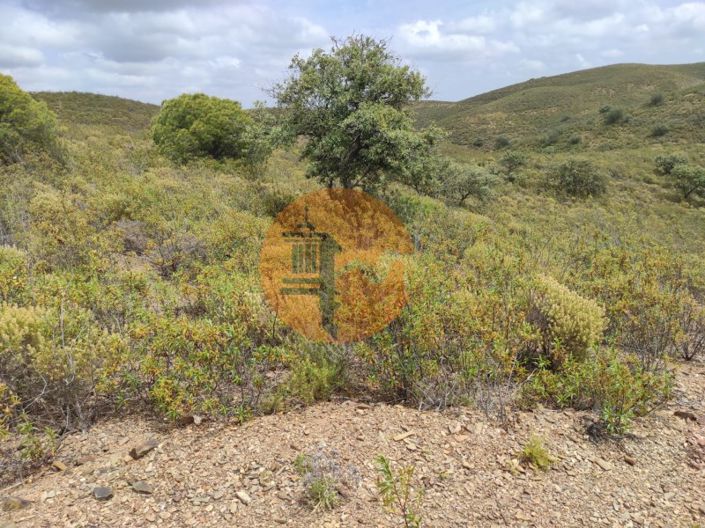 Image No.8-Plot for sale