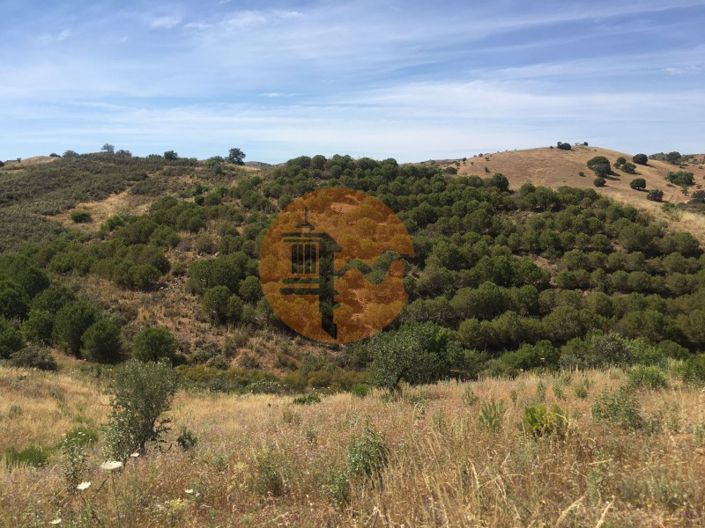 Image No.20-Plot for sale