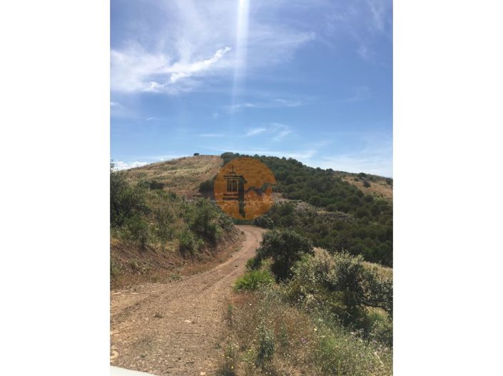 Image No.23-Plot for sale