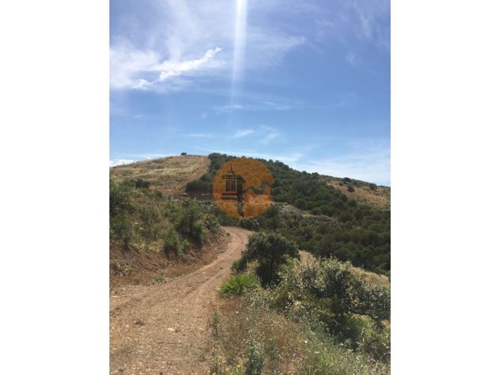 Image No.25-Plot for sale