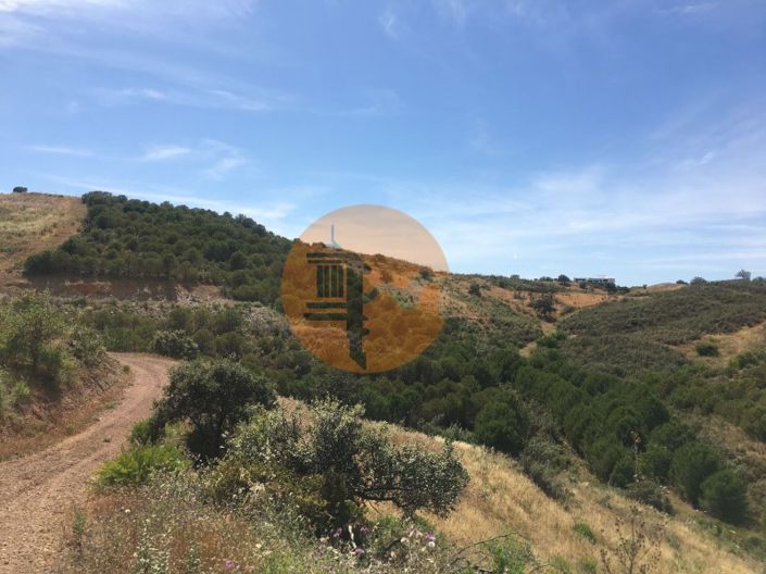 Image No.27-Plot for sale