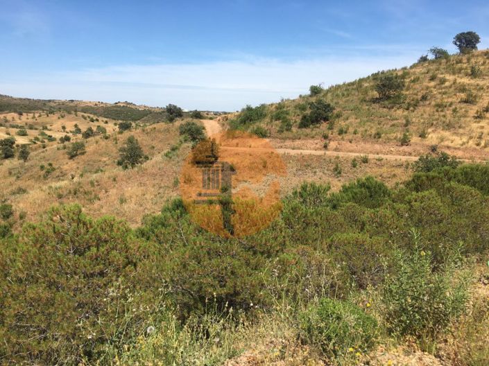 Image No.3-Plot for sale