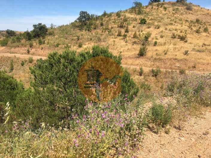 Image No.6-Plot for sale