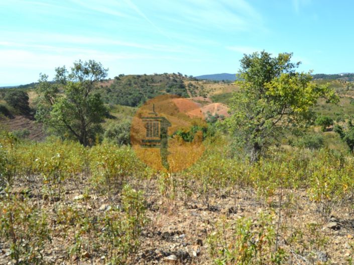 Image No.5-Terrain à vendre à Tavira