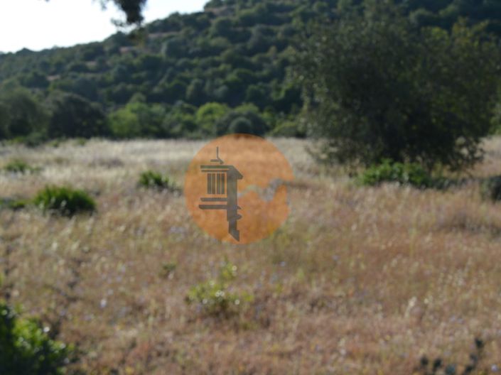 Image No.3-Terrain à vendre à Tavira