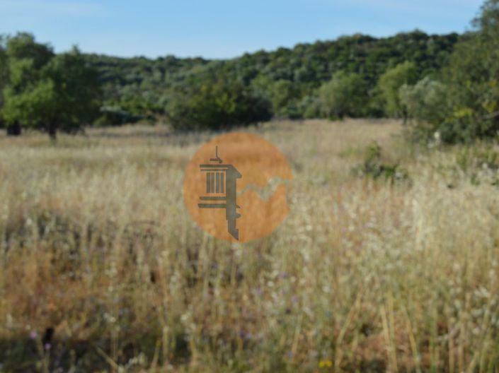 Image No.7-Terrain à vendre à Tavira