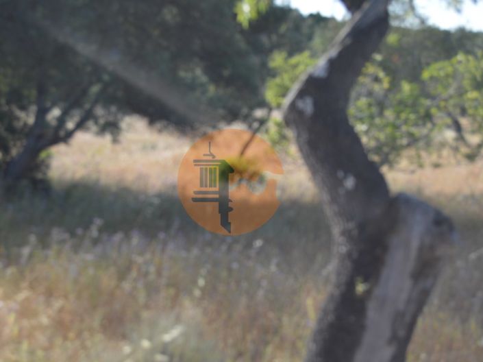 Image No.9-Terrain à vendre à Tavira