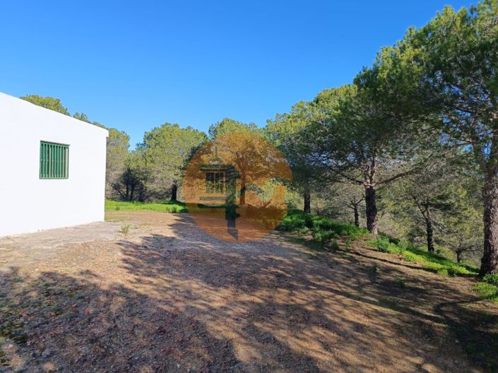 Image No.1-Ferme de 1 chambre à vendre à Castro Marim