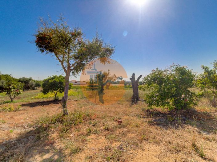 Image No.37-6 Bed House for sale