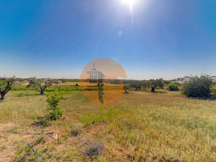 Image No.39-6 Bed House for sale