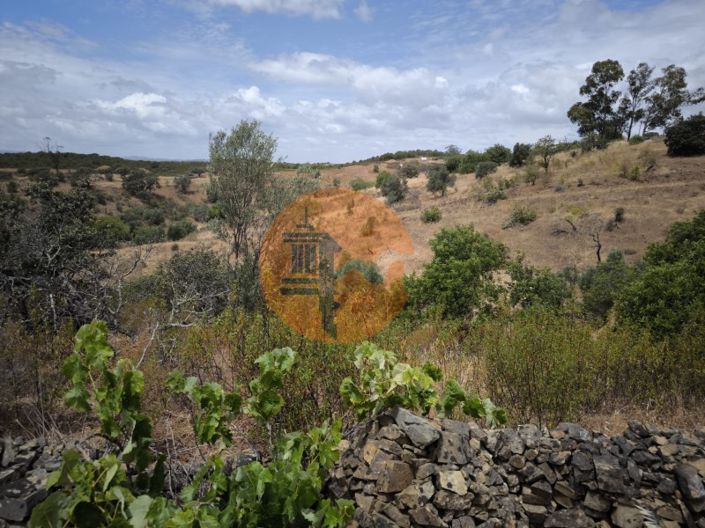 Image No.17-3 Bed House for sale