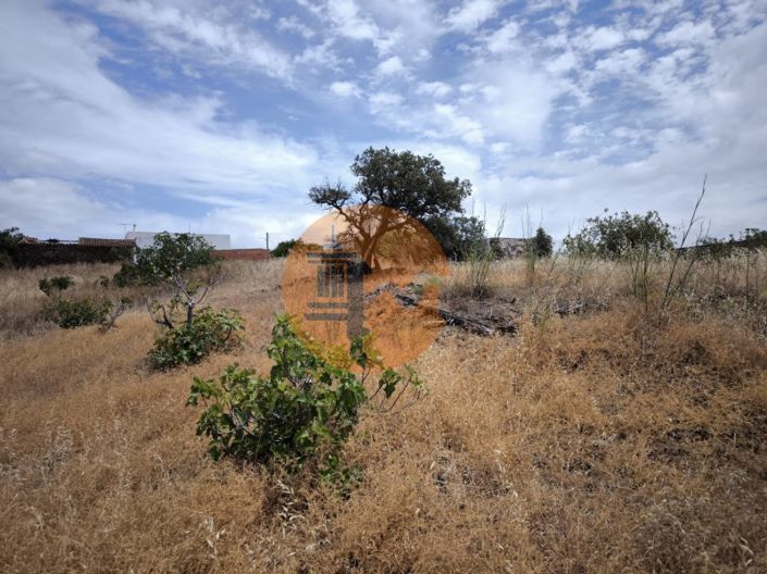 Image No.20-3 Bed House for sale