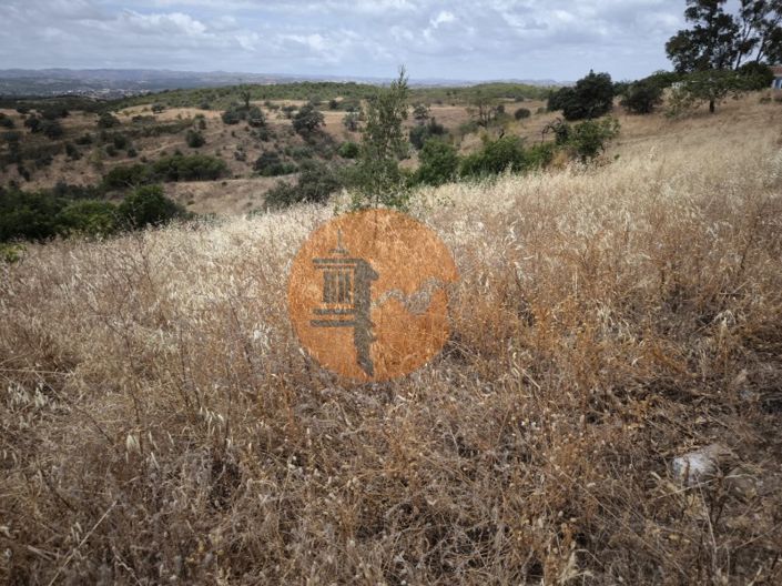 Image No.36-3 Bed House for sale