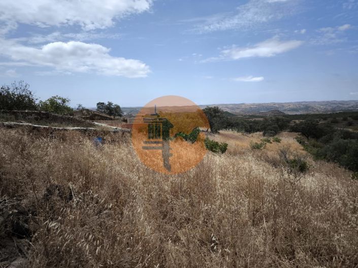 Image No.45-3 Bed House for sale