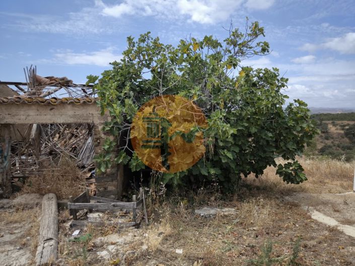 Image No.48-3 Bed House for sale