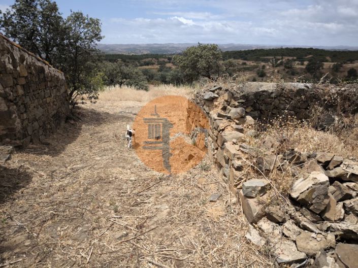 Image No.56-3 Bed House for sale