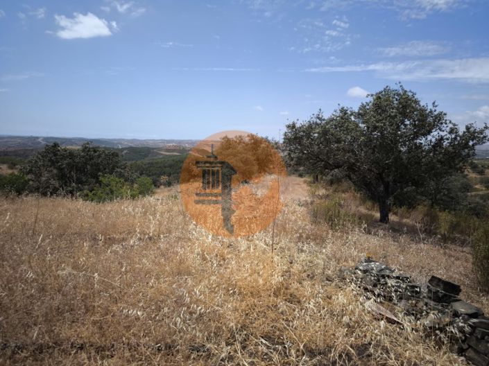 Image No.9-3 Bed House for sale