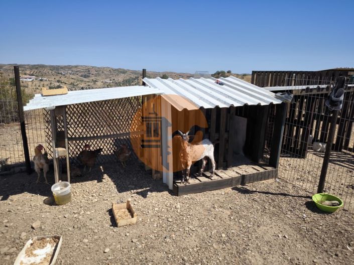 Image No.39-Plot for sale