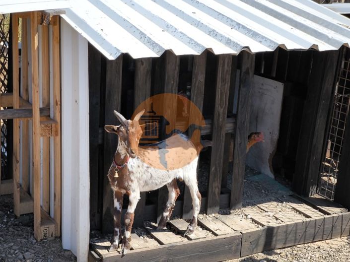 Image No.5-Terrain à vendre à Castro Marim