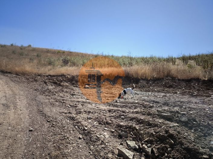 Image No.6-Terrain à vendre à Castro Marim